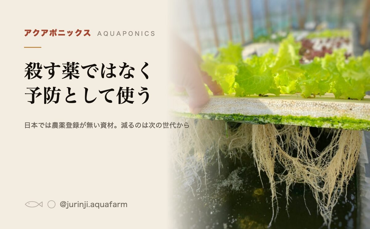 ニームオイルは効くのか。殺す薬ではなく予防として使うもの