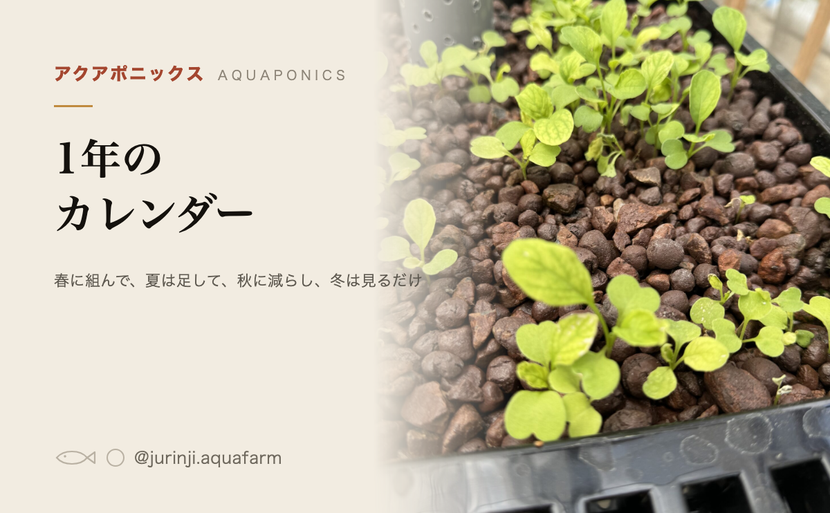 アクアポニックスの1年カレンダー。月ごとのやることと仕事の山