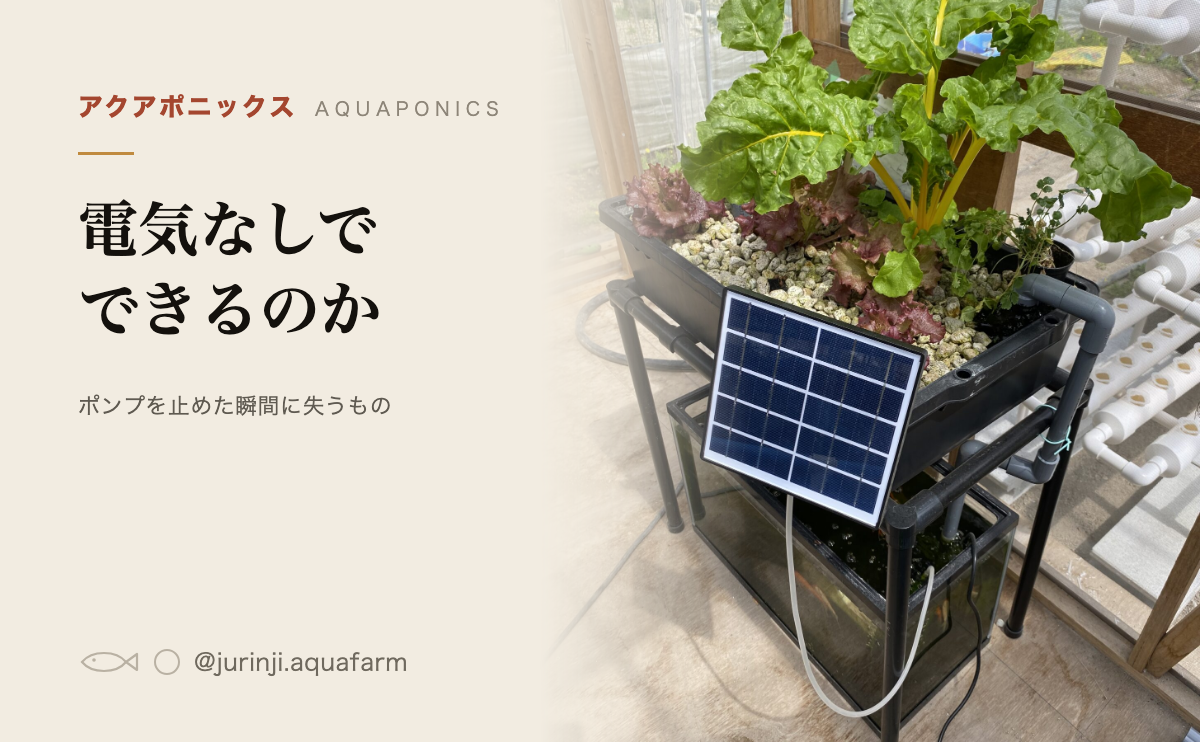 アクアポニックスは電気なしでできるかの記事のアイキャッチ。太陽光パネル付きの小型装置を背景にしている