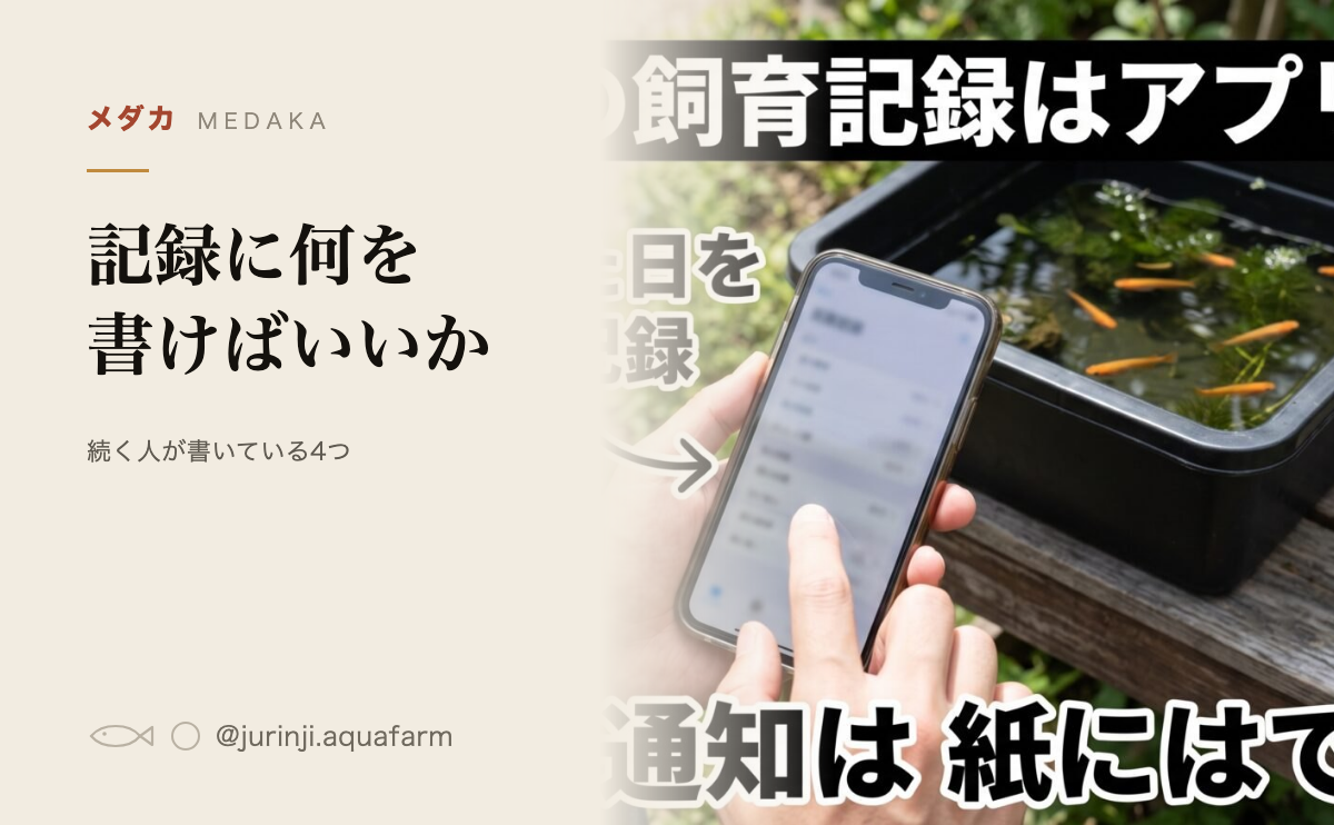 メダカの飼育記録に何を書くかの記事のアイキャッチ。容器の前でスマホに記録している図解を背景にしている