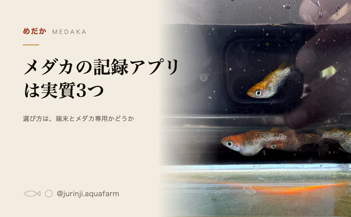 メダカの飼育記録アプリ比較のアイキャッチ