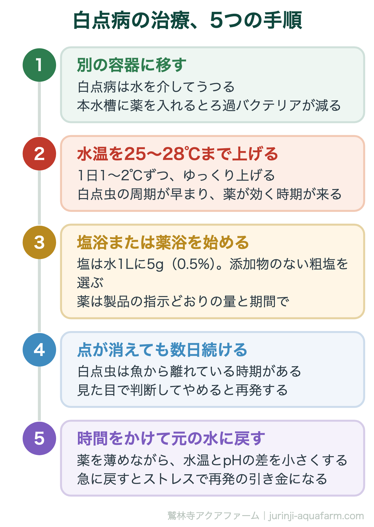 メダカの白点病の治療5つの手順。隔離・加温・薬浴または塩浴の順で行う。薬が効くのは白点虫が魚から離れているあいだなので、加温と薬浴の期間が要になる
