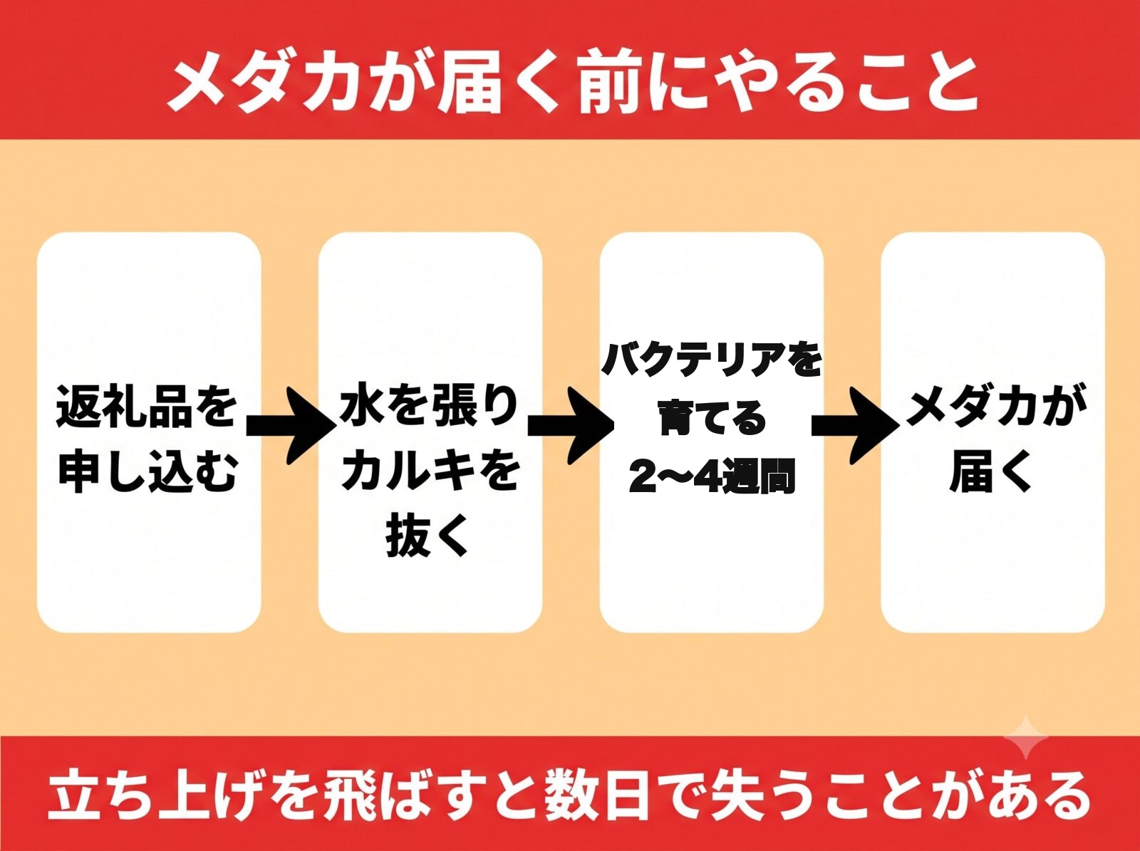 ふるさと納税のメダカが届く前にやることの図解。申し込んだら水を張ってカルキを抜き、バクテリアを2〜4週間育てる