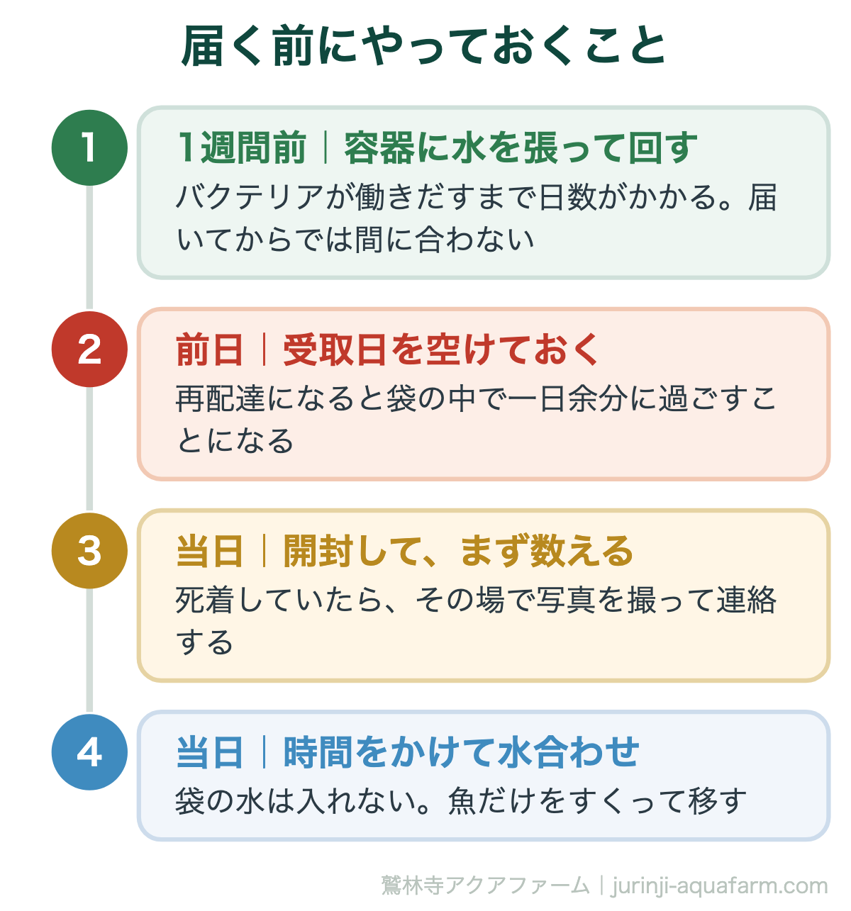 ふるさと納税でメダカがもらえる！返礼品の選び方と実質2,000円の仕組み｜届く前にやっておくこと