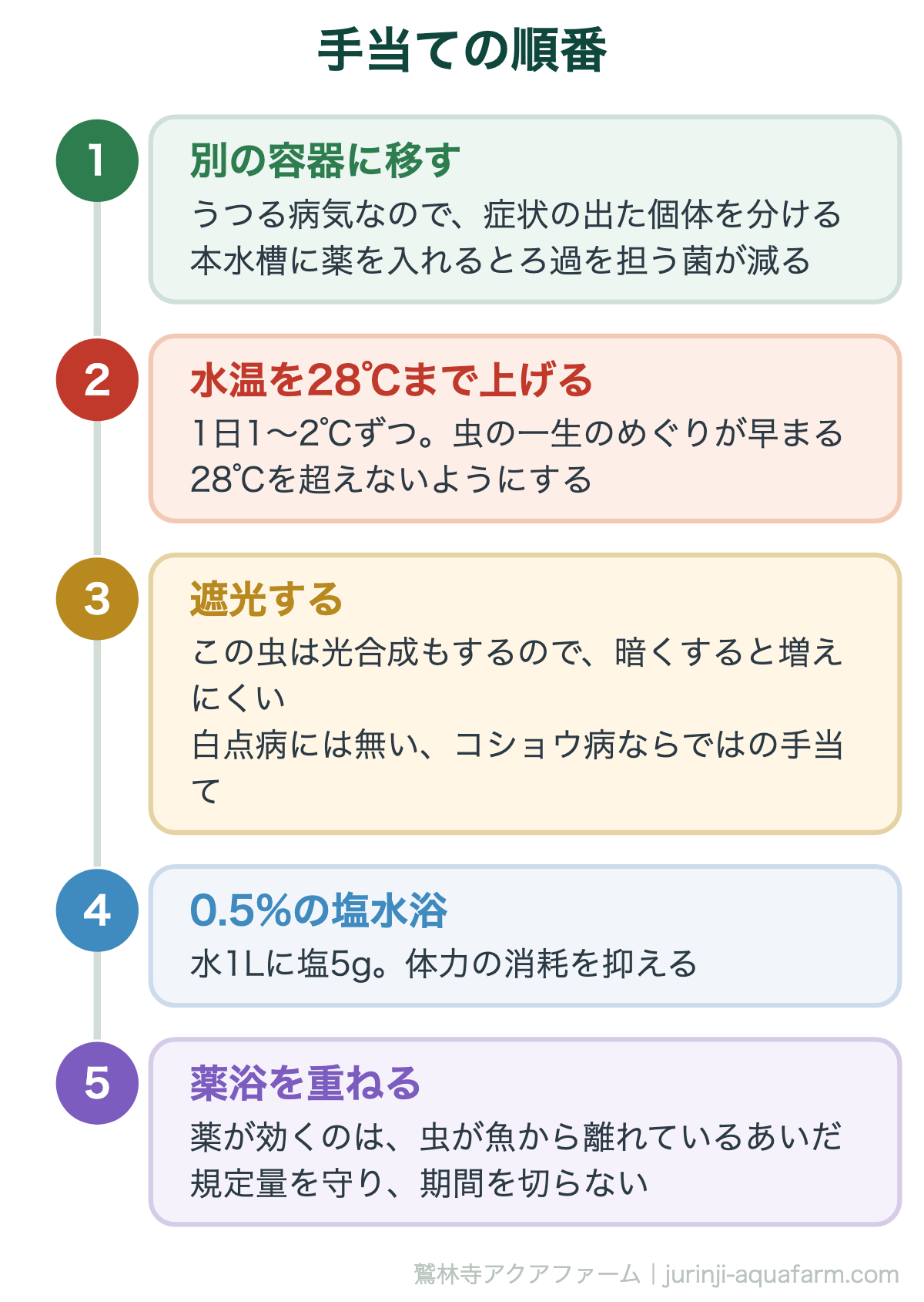 メダカのコショウ病は白点病より多い｜手当ての順番。加温と遮光で虫の周期を回し、離れた瞬間に薬を当てる。これが要点