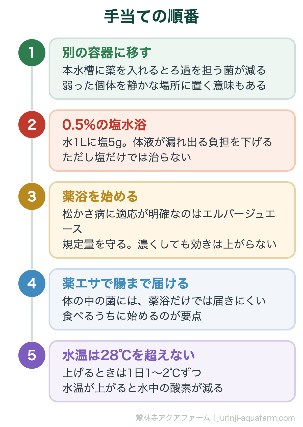 メダカの松かさ病は治る｜手当ての順番。薬浴と薬エサの両方を使う。外から効かせるだけでは体の中に届かない