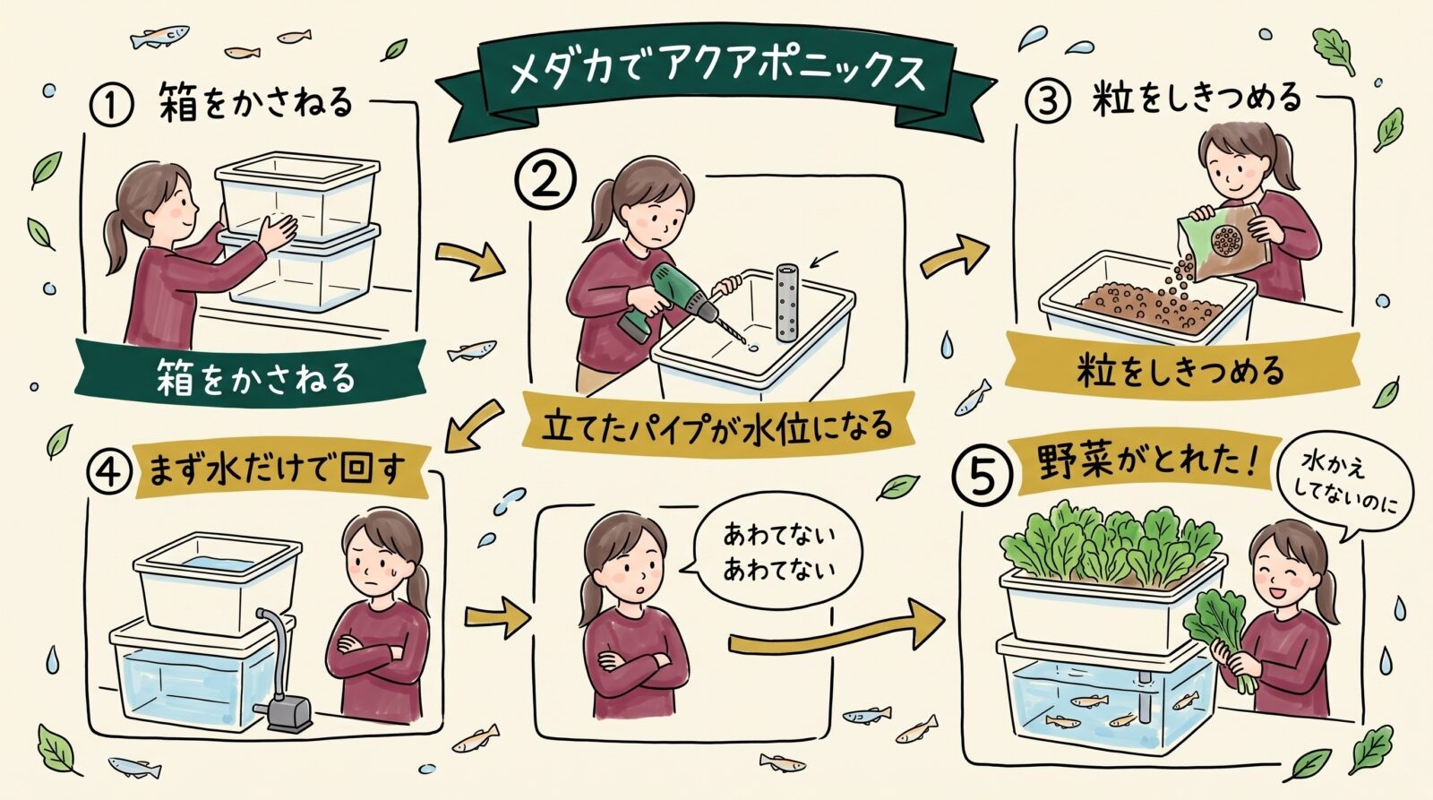 メダカのアクアポニックスの作り方を5場面で描いたグラフィックレコーディング。箱を重ねる、底に穴を開けて穴あきカバー付きの立管を立てる、ハイドロボールを敷き詰める、まず水だけで回す、野菜を収穫するまでの流れ