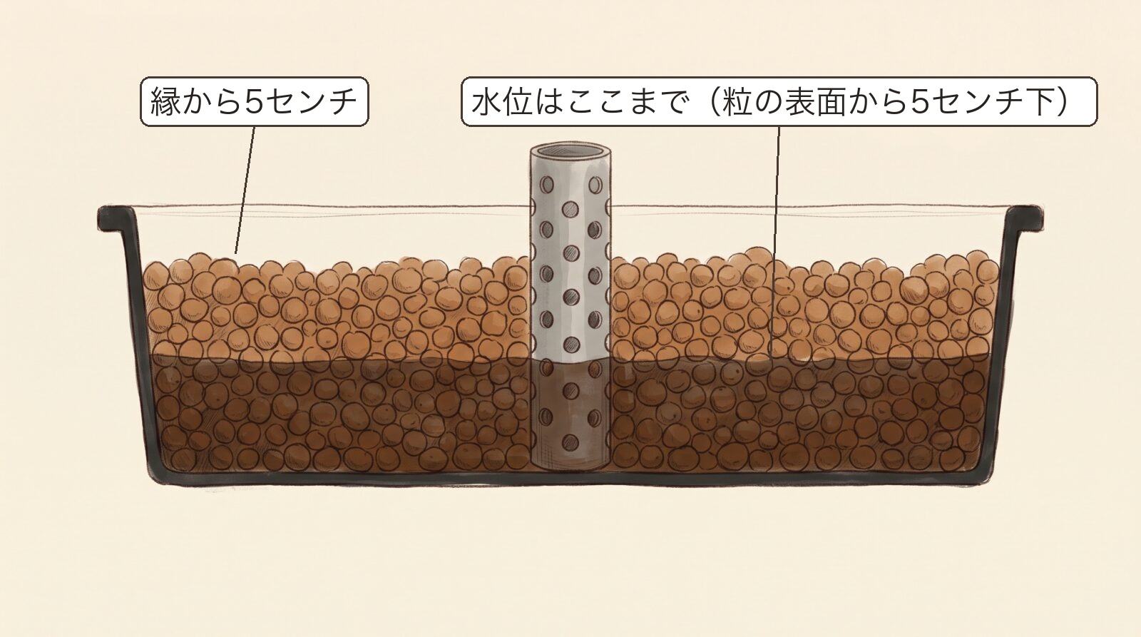 アクアポニックスの栽培槽の断面図。ハイドロボールは縁から5センチ下まで入れ、水位は粒の表面からさらに5センチ下。上の層は乾いた乾燥ゾーンになる