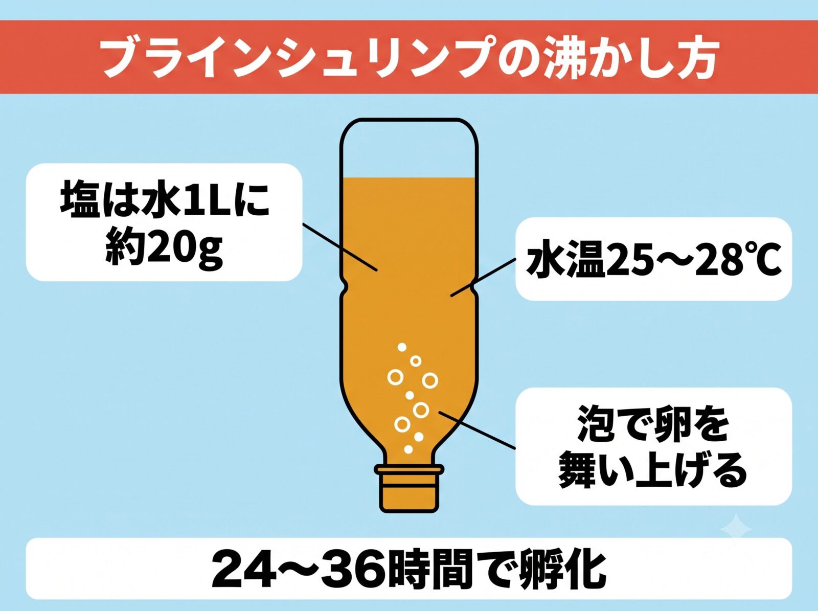 ブラインシュリンプの沸かし方の図解。塩は水1リットルに約20グラム、水温25〜28℃、泡で卵を舞い上げて24〜36時間で孵化