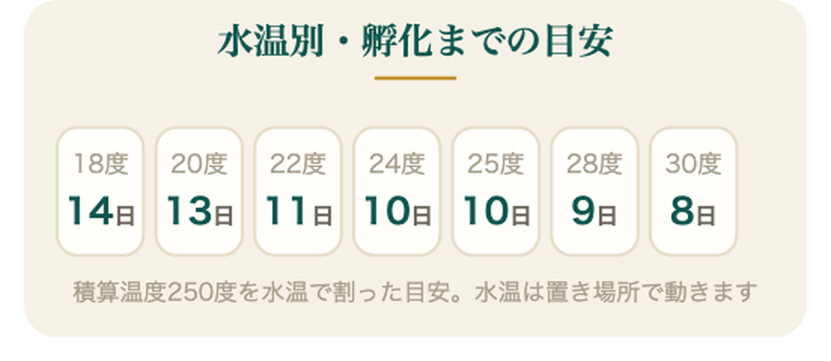 メダカ台帳の使い方｜水温別・孵化までの目安