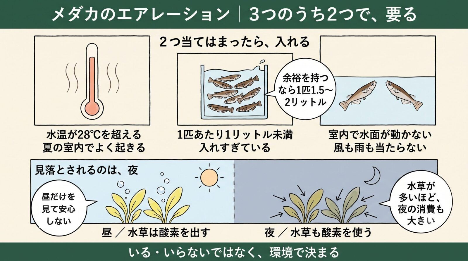 メダカにエアレーションが必要か3つで判定。水温28℃超・1匹1L未満・水面が動かない
