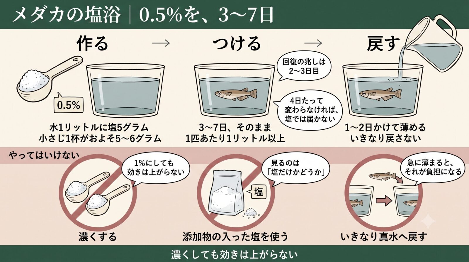 メダカの塩浴のやり方。0.5％は水1Lに塩5g、3〜7日つけて1〜2日かけて薄めて戻す