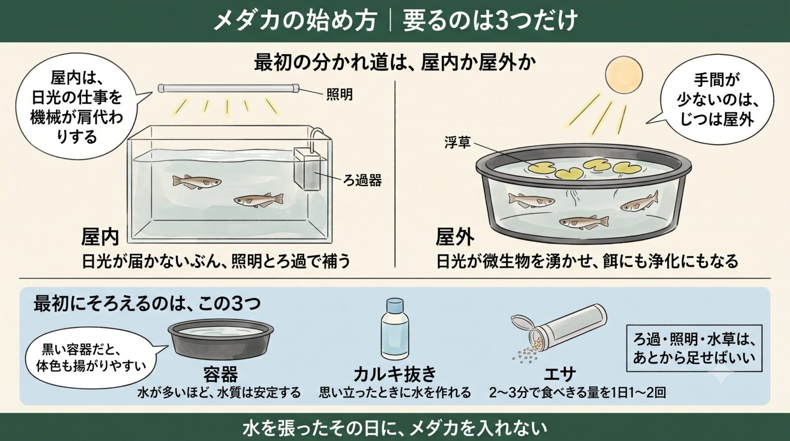 メダカ飼育の始め方。屋内か屋外かを決めて、容器・カルキ抜き・エサの3つをそろえる