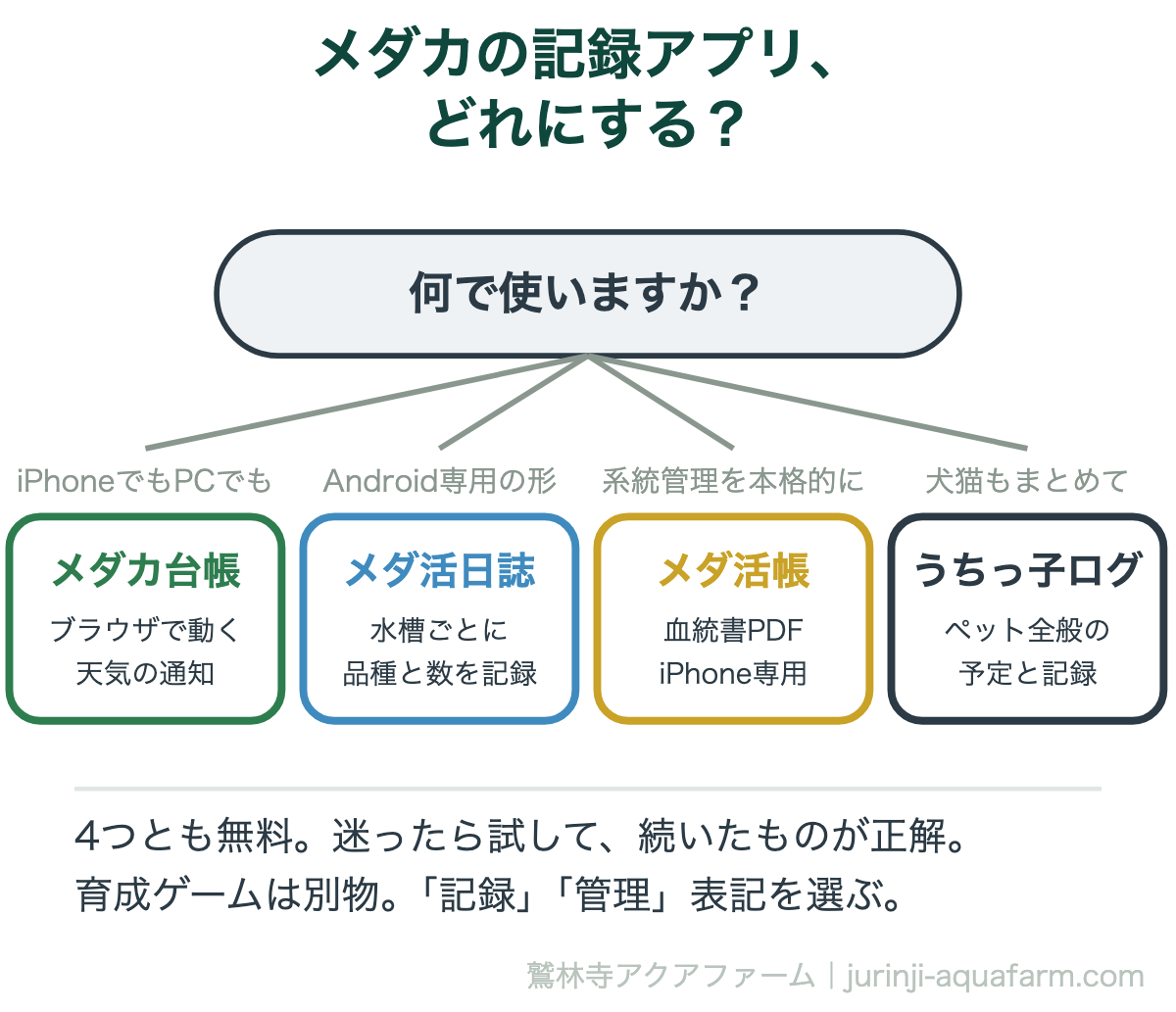 メダカの飼育記録アプリの選び方の図解。iPhoneやPCでも使うならブラウザで動くメダカ台帳、Androidの専用アプリならメダ活日誌、iPhoneで系統管理を本格的にやるなら血統書PDFが出せるメダ活帳、犬猫など他のペットとまとめるならうちっ子ログ。4つとも無料