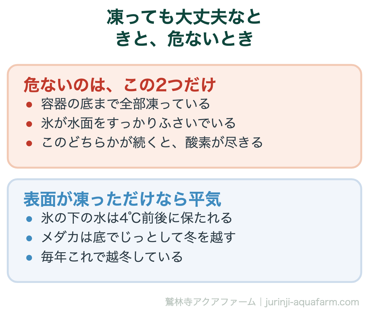メダカの容器が凍っても大丈夫なときと危ないとき。底まで全部凍る・氷が水面をふさぐ、この2つだけが危ない