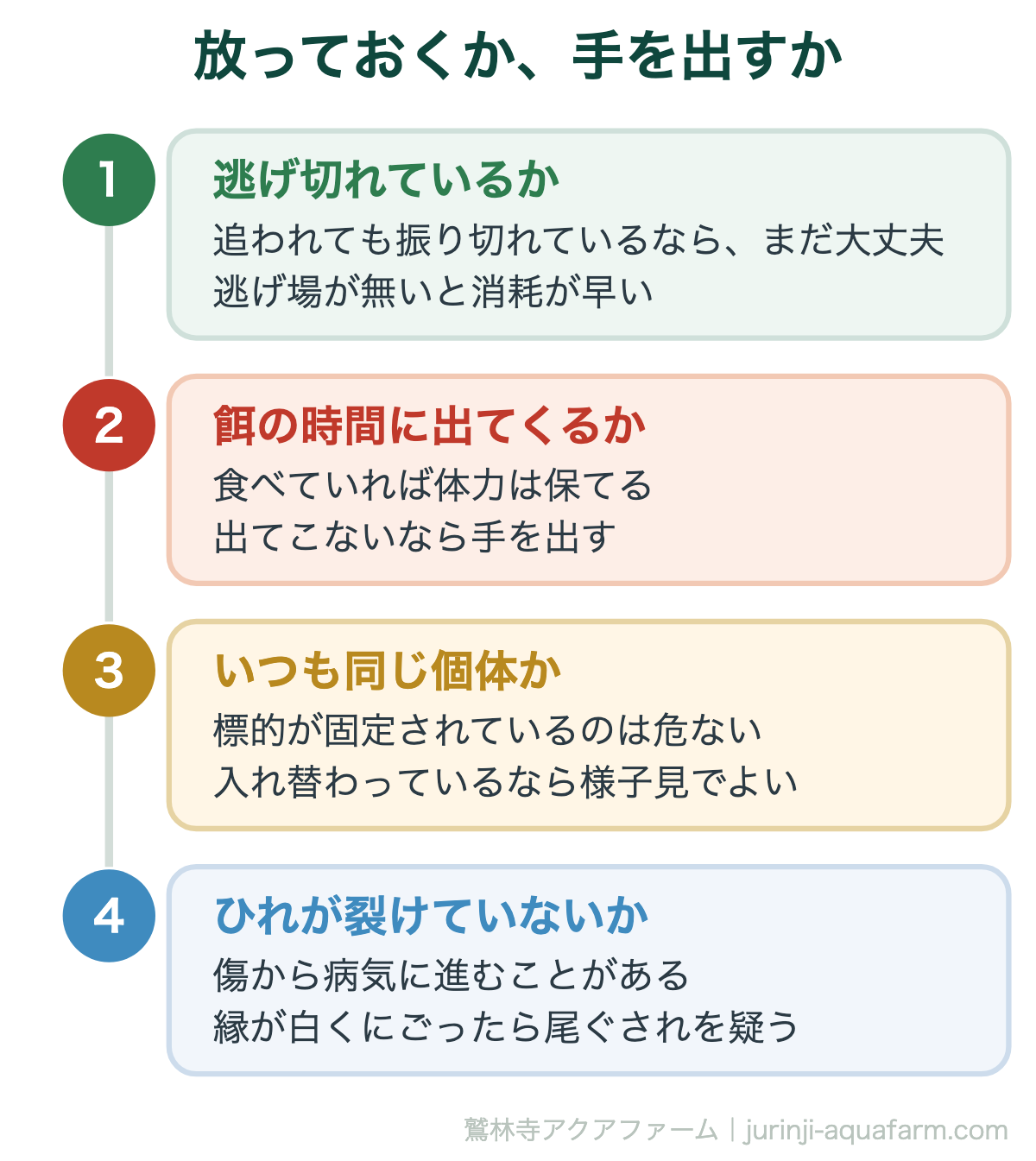 メダカの追いかけを放っておくか手を出すかの判断。逃げ切れているか、餌の時間に出てくるか、いつも同じ個体が追われていないか、ひれが裂けていないか