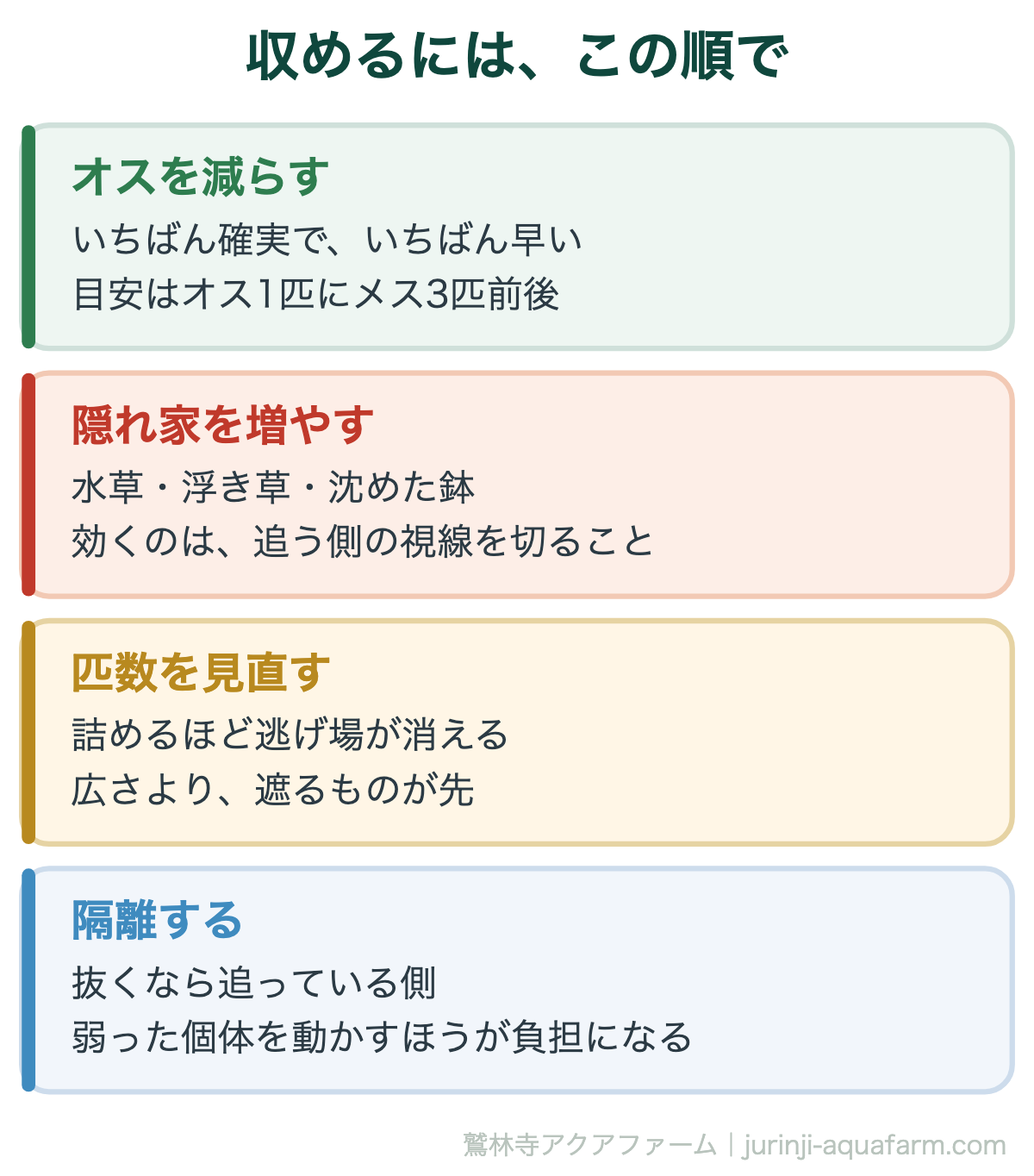 メダカの追いかけを収める順番。まずオスを減らす、次に隠れ家を増やす、匹数を見直す、最後に追っている側を隔離する