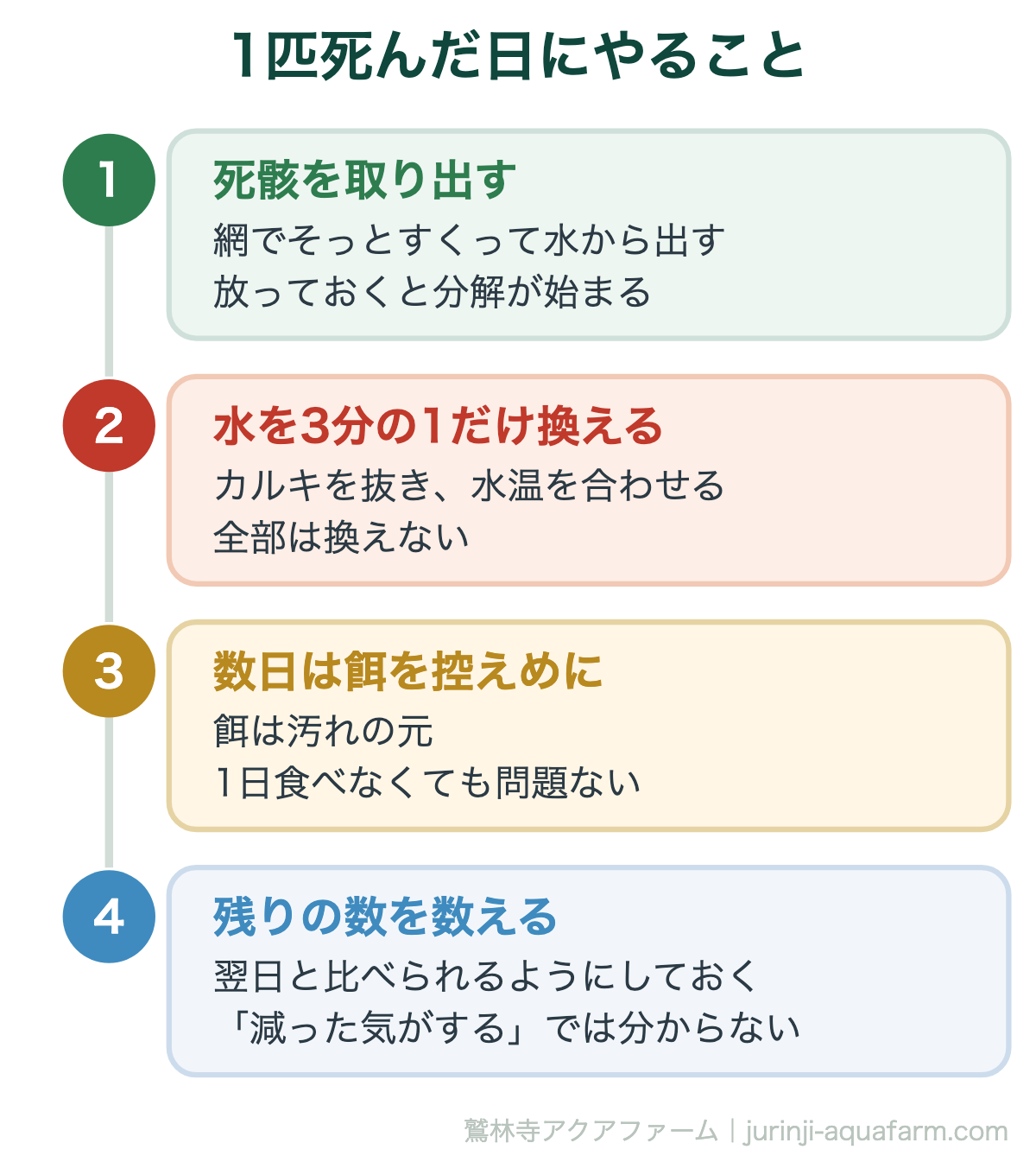 メダカが1匹死んだ日にやること。死骸を取り出す、水を3分の1だけ換える、数日は餌を控えめにする、残りの数を数えておく