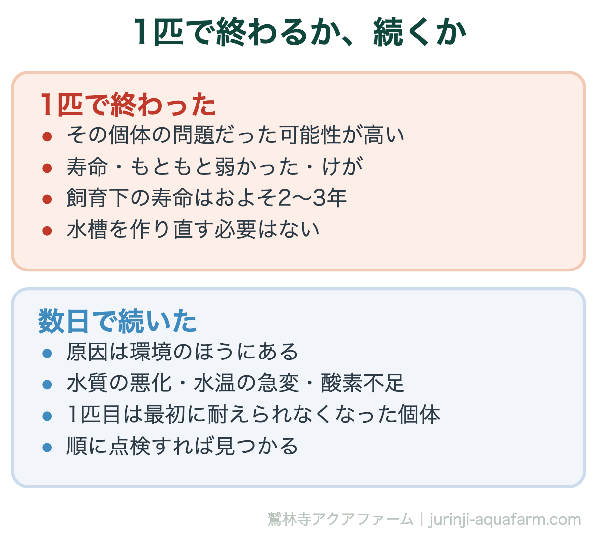 メダカが1匹で終わるか続くかの見分け。1匹で終わったなら寿命や個体差、数日で続くなら水質の悪化・水温の急変・酸素不足のどれか
