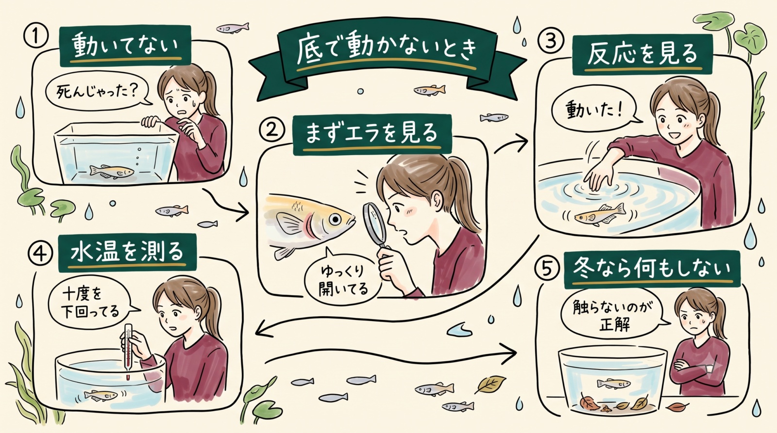 メダカが底で動かないときのグラレコ（グラフィックレコーディング）。まずエラを見て、反応を見て、水温を測る。冬なら何もしないのが正解