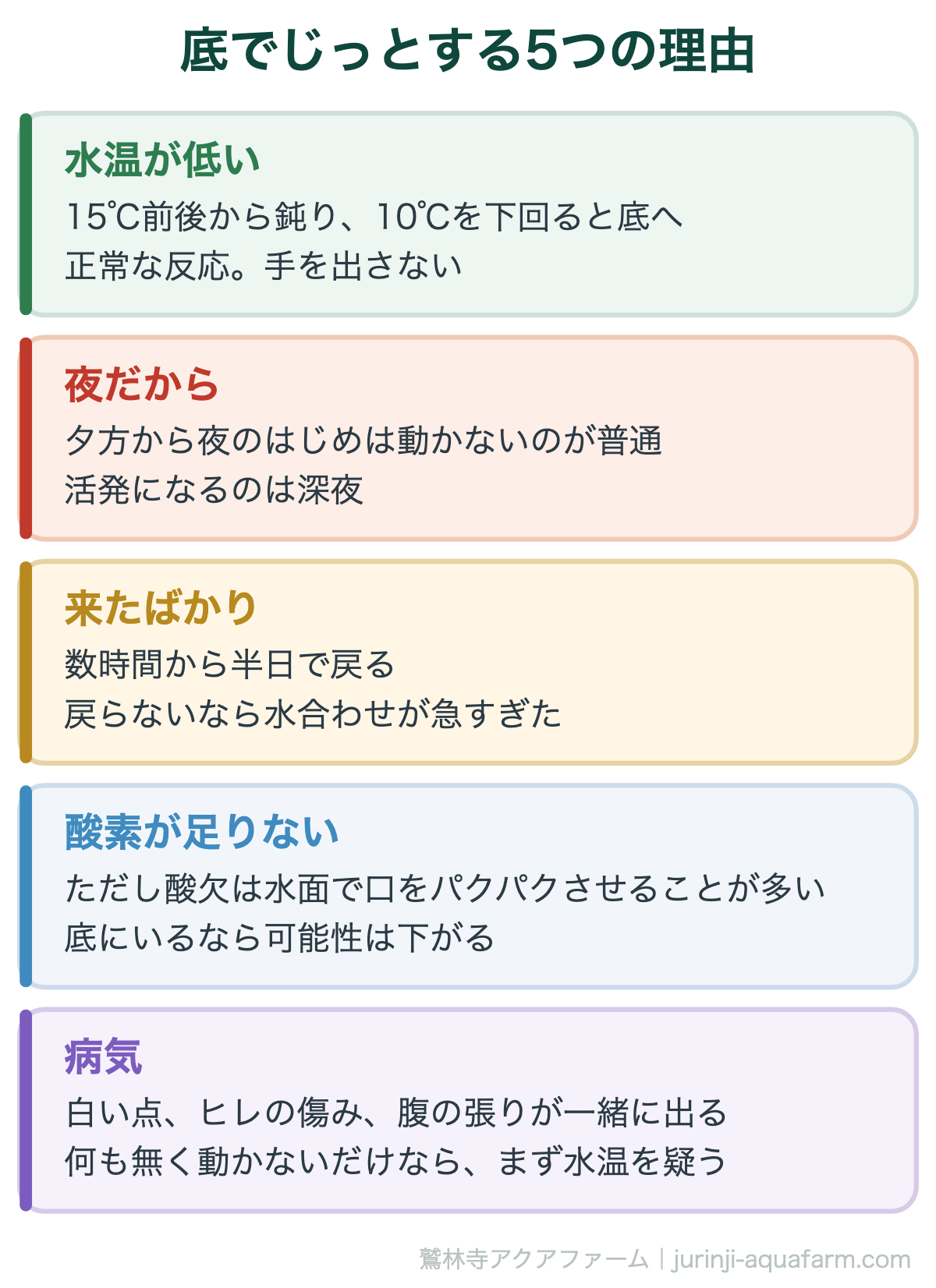 メダカが底でじっとする5つの理由。水温が低い、夜、来たばかり、酸素不足、病気。このうち水温・夜・来たばかりの3つは手を出さないほうがよい