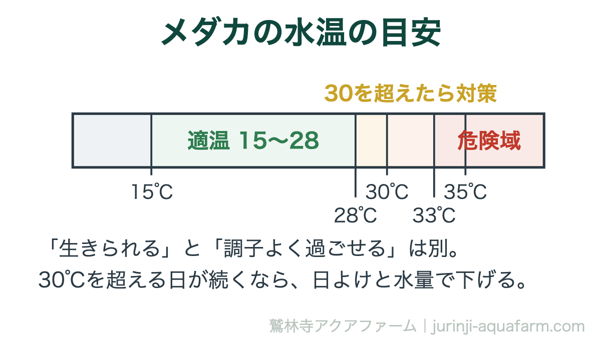 メダカの水温の目安の図解。15〜28℃が適温、30℃を超えたら対策、33℃を超える日が続くと危険域。生きられる温度と調子よく過ごせる温度は別