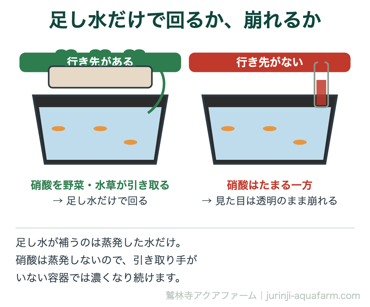 足し水だけで回る容器と崩れる容器の対比図。左は植物が硝酸を引き取るので回る。右は硝酸の行き先が無く、たまる一方で見た目は透明のまま崩れる
