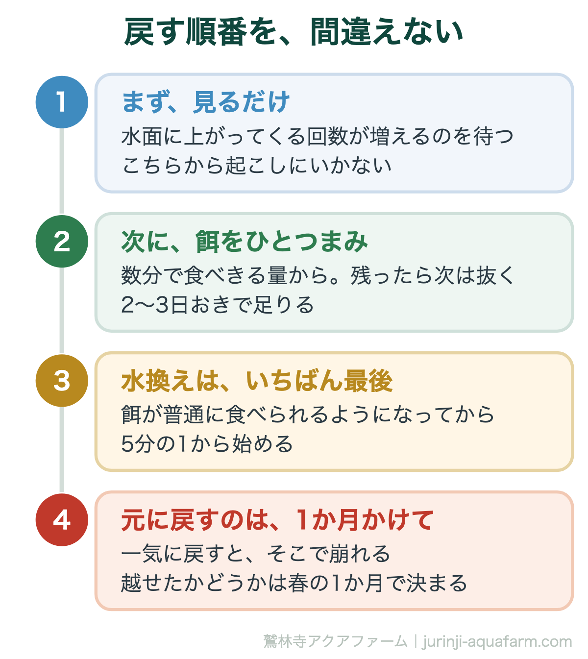 メダカの冬眠明けに戻す順番。見る、餌をひとつまみ、最後に水換え。1か月かけて戻す