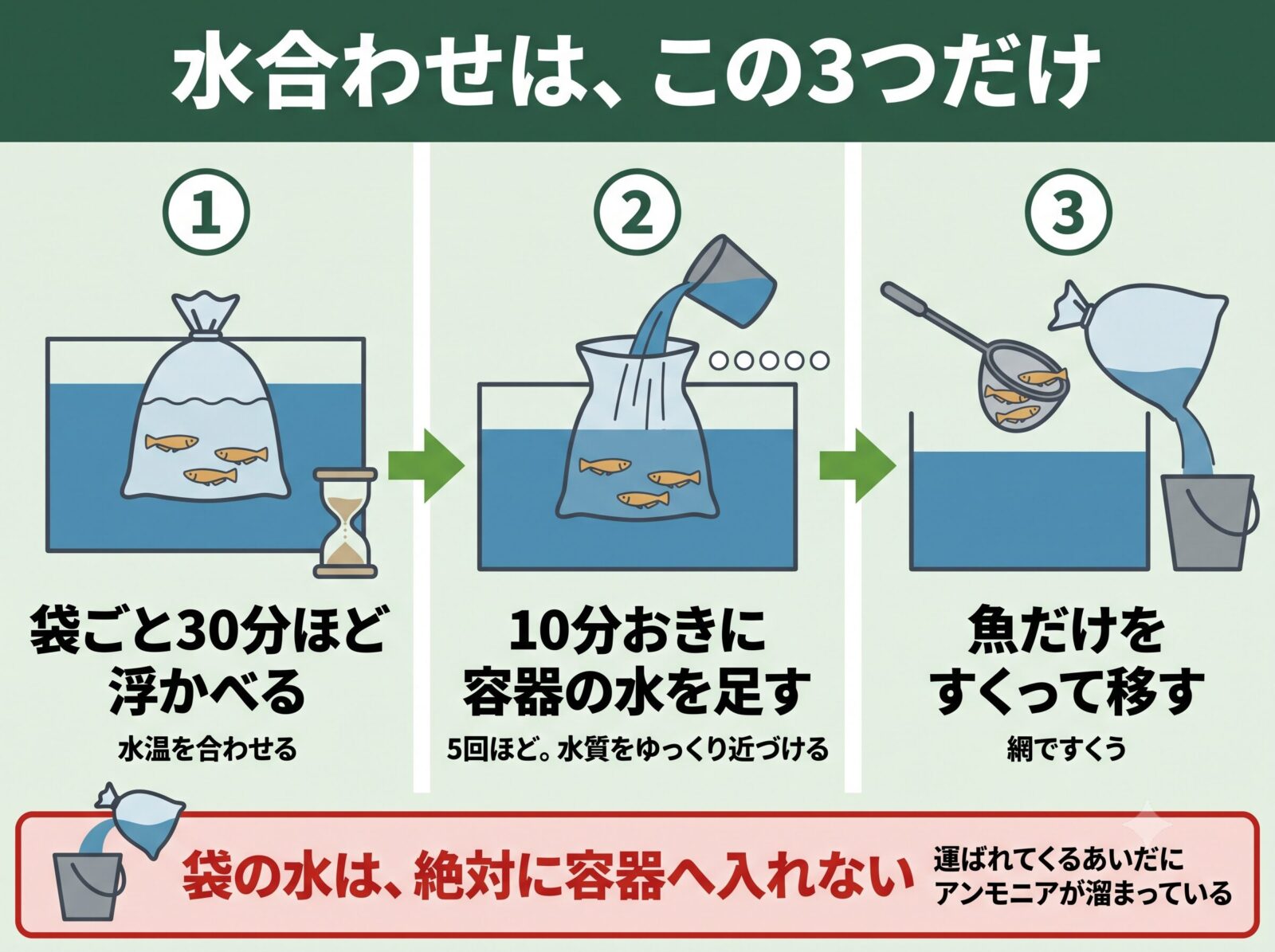 メダカの水合わせの手順3つ。袋ごと30分浮かべ、10分おきに容器の水を足し、魚だけをすくって移す