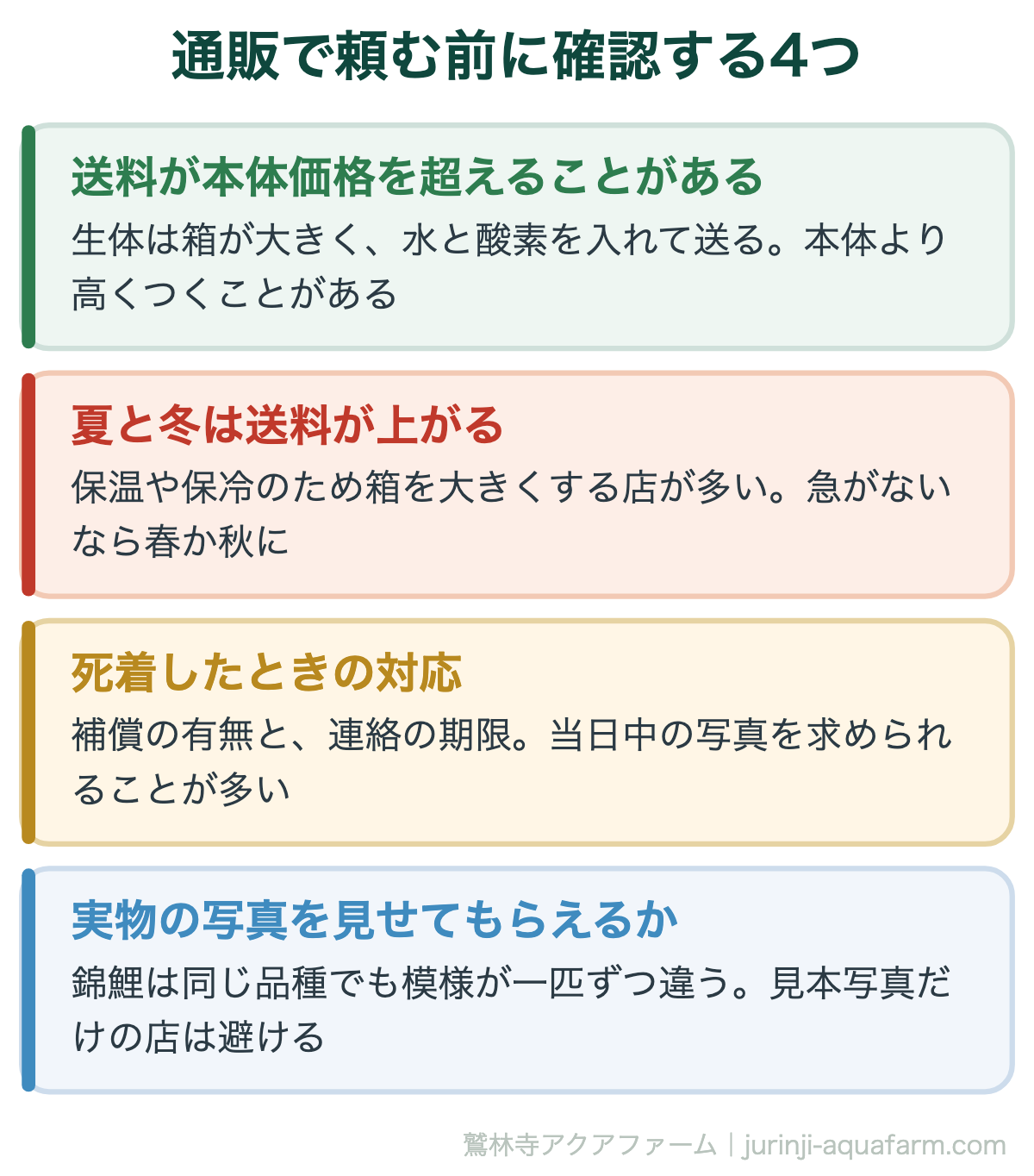 錦鯉はどこで買う｜通販で頼む前に確認する4つ