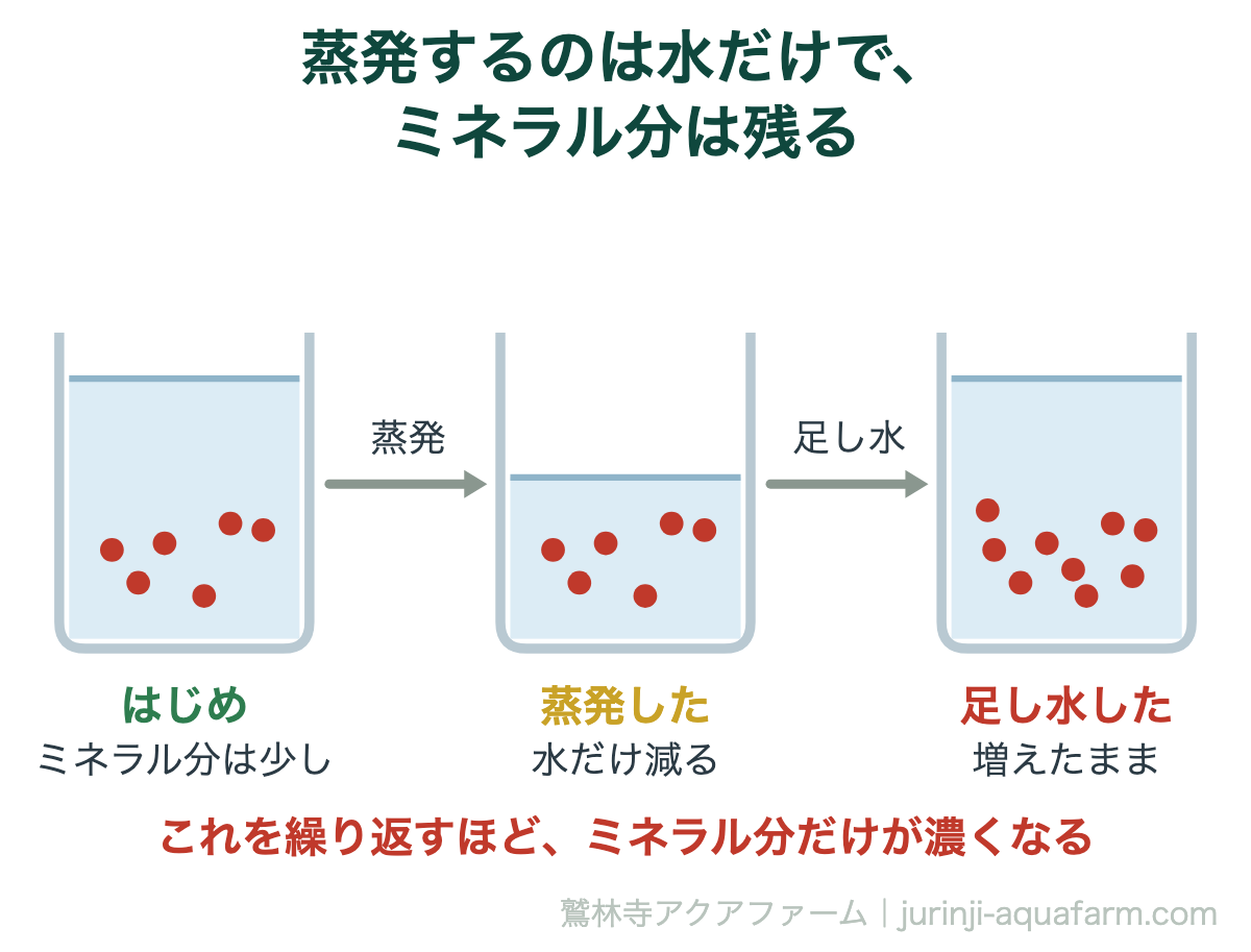 蒸発するのは水だけで、溶けているミネラル分は残る。アクアポニックスで足し水を続けると塩類が濃くなる