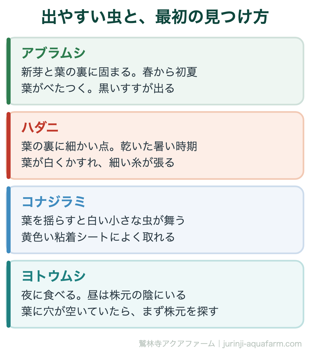 アクアポニックスで出やすい虫。アブラムシ・ハダニ・コナジラミ・ヨトウムシ