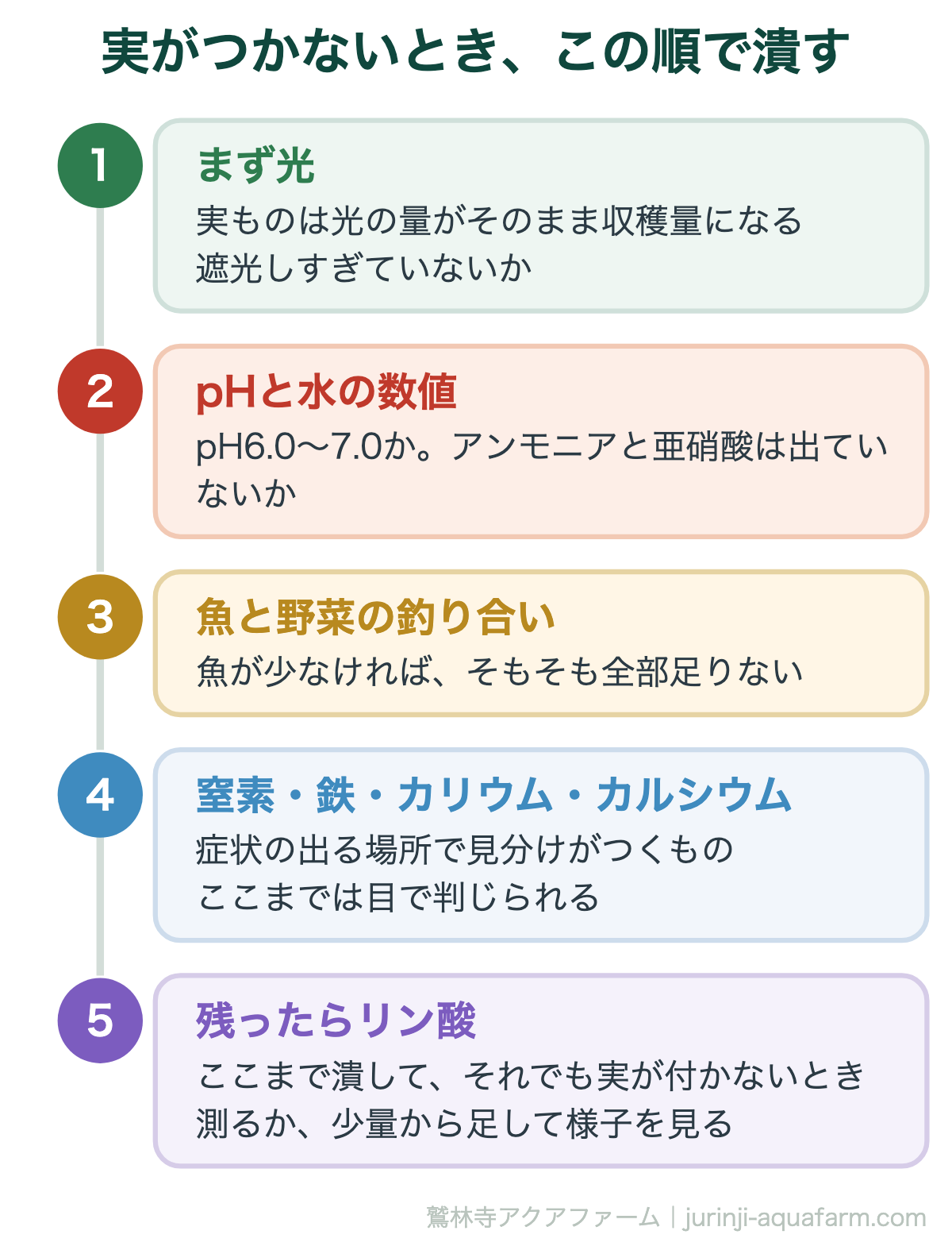アクアポニックスで実がつかないときに潰す順番。光・pHと水の数値・魚と野菜の釣り合い・ほかの養分・最後にリン酸