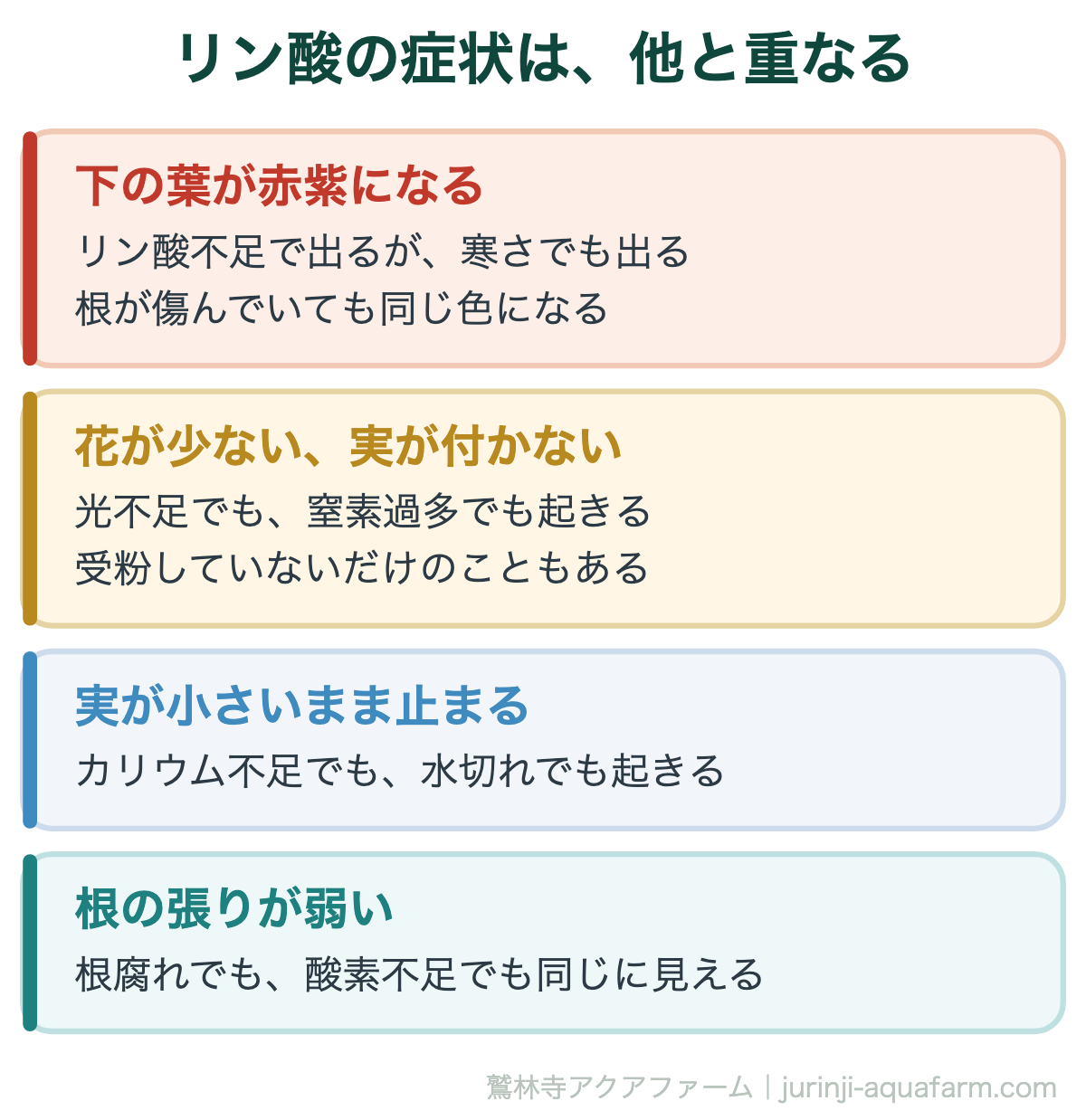 リン酸不足の症状は他の原因と重なる。下葉の赤紫・花が少ない・実が小さい・根の張りが弱い