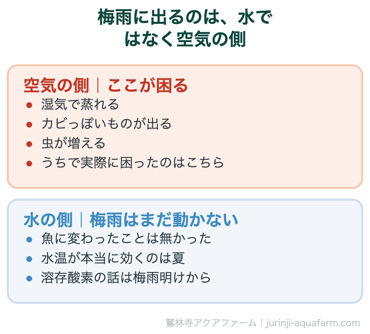 アクアポニックスの梅雨。困るのは蒸れとカビと虫で、魚は変わらない
