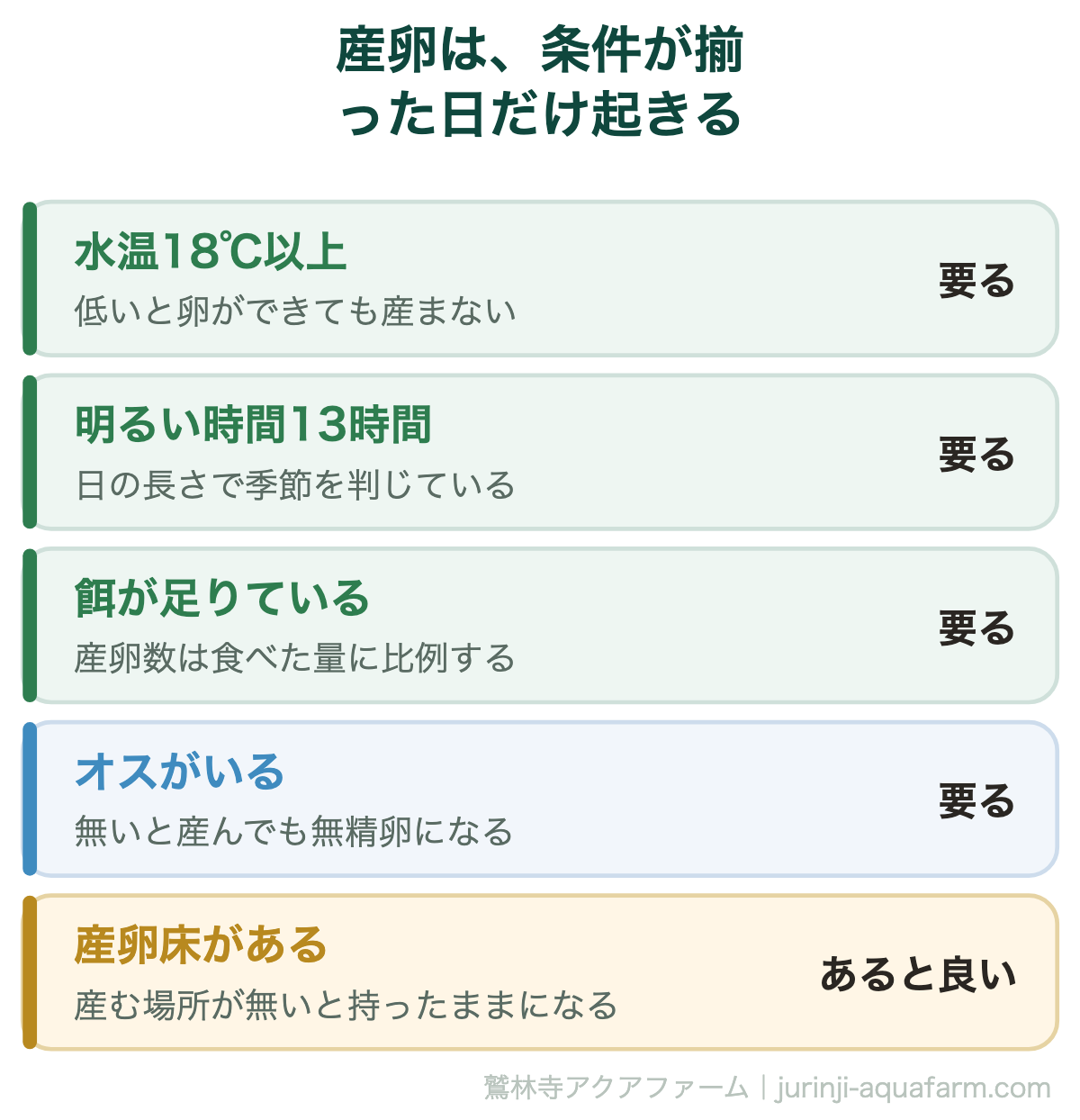 メダカが産卵する条件。水温18℃以上・明るい時間13時間・餌・オス・産卵床