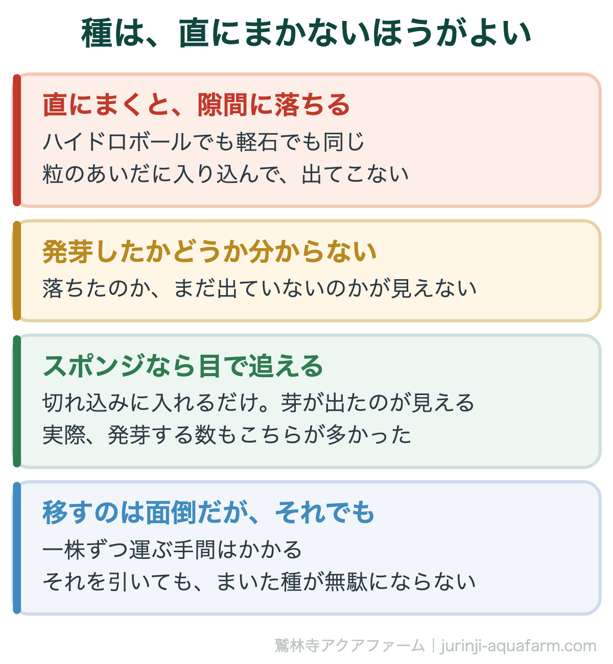 種を栽培槽に直にまかないほうがよい理由。粒の隙間に落ちる・発芽したか分からない・スポンジなら目で追える