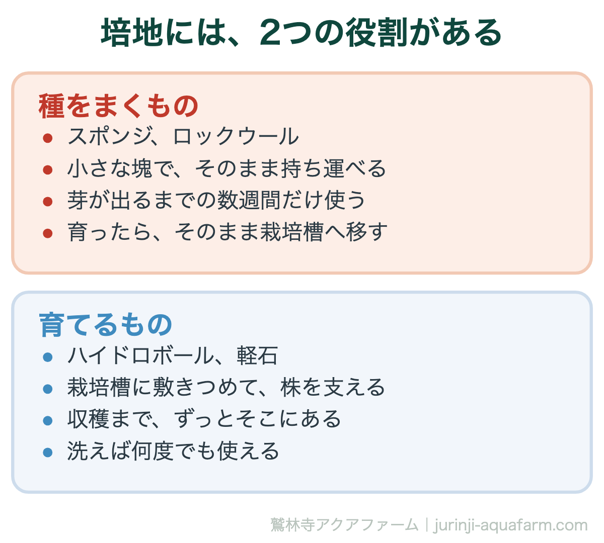 アクアポニックスの培地の2つの役割。種をまくものと、栽培槽で育てるもの