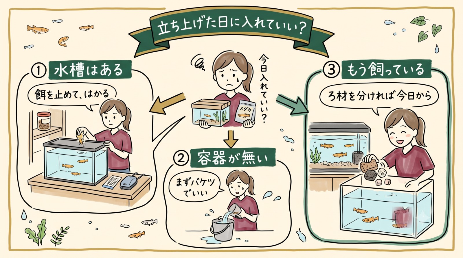 買ってきたメダカをその日に水槽へ入れる手順のグラレコ。袋の中が一番せまい、先に水を用意する、水温を合わせる、魚だけ移す、翌日から測って換える