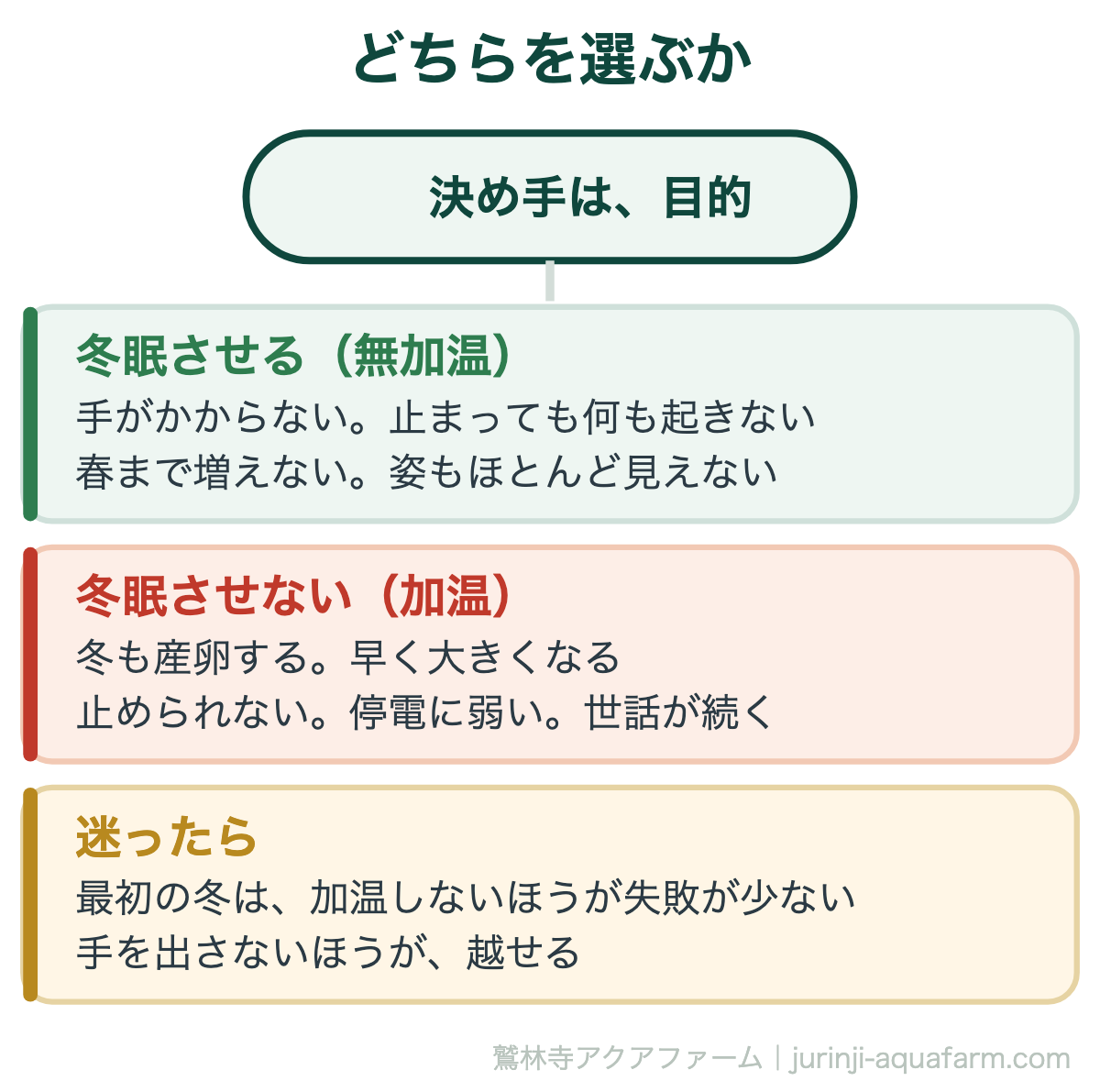 メダカを冬眠させるか、加温するか。手のかからなさと、冬も増やせることの引き換え
