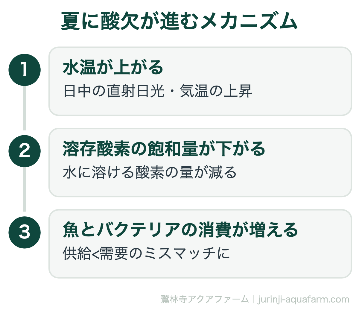 夏の酸欠対策｜夏に酸欠が進むメカニズム。病原菌や設備の故障がなくても、この3段階だけで酸欠は進行します