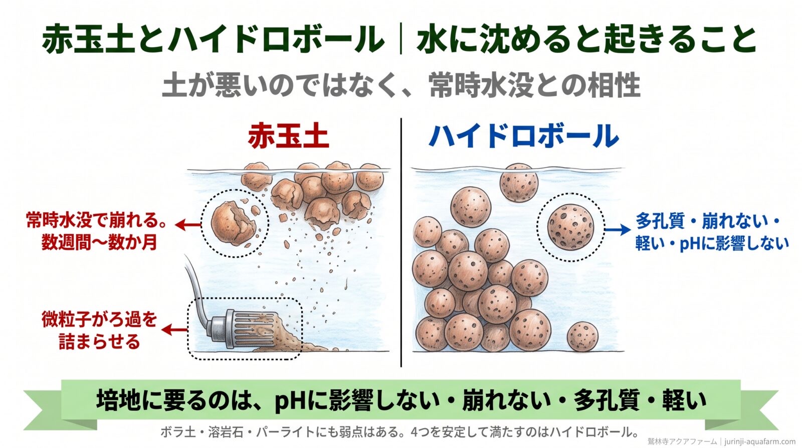 水に沈めた赤玉土とハイドロボールの比較図。赤玉土は常時水没で崩れて数週間から数か月で微粒子がろ過を詰まらせる。ハイドロボールは多孔質で崩れず軽くpHに影響しない