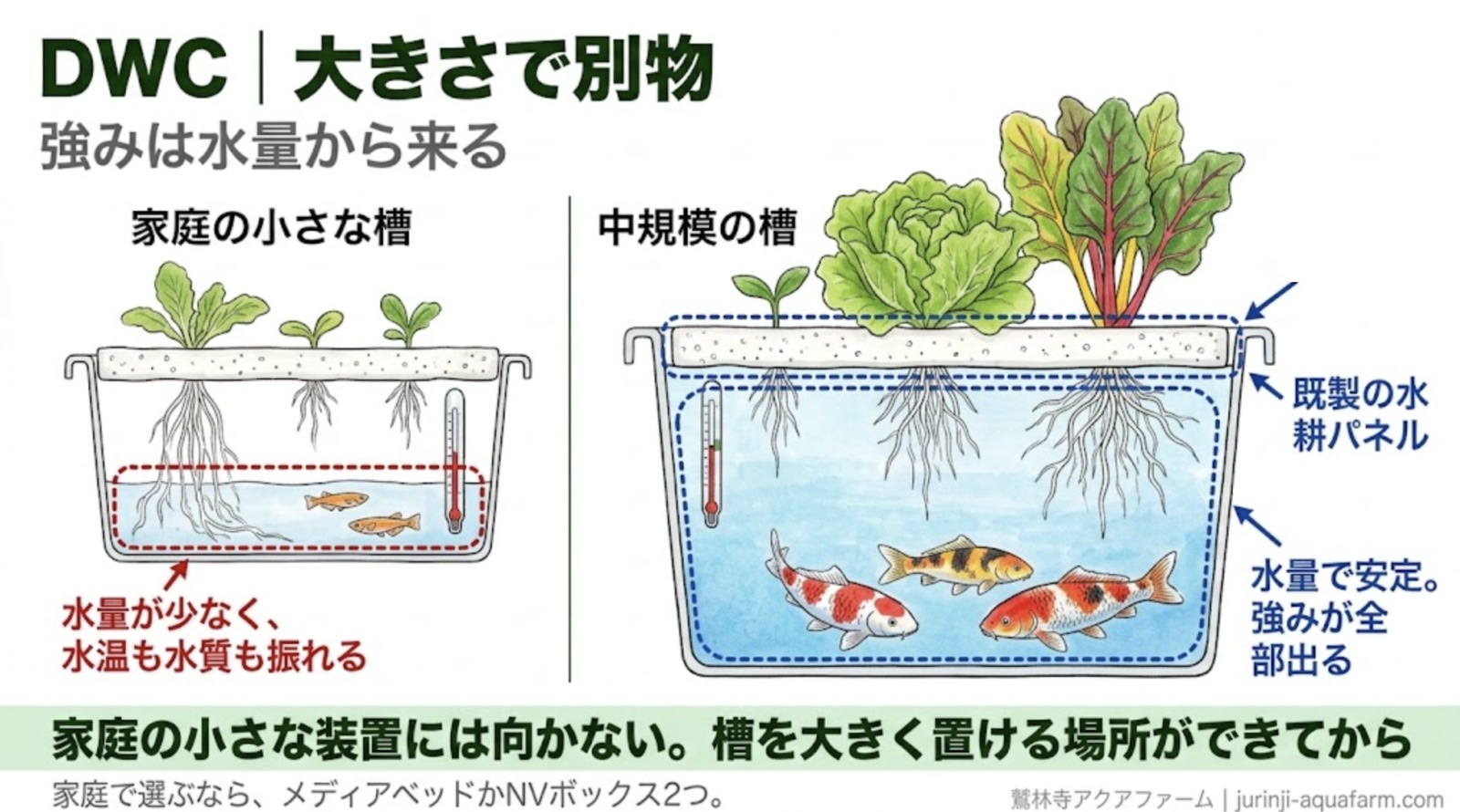DWCの断面図2つ。家庭の小さな槽は水量が少なく水温も水質も振れ、下にメダカ。中規模の槽は既製の水耕パネルを浮かべ、水量で安定して強みが全部出る、下に錦鯉