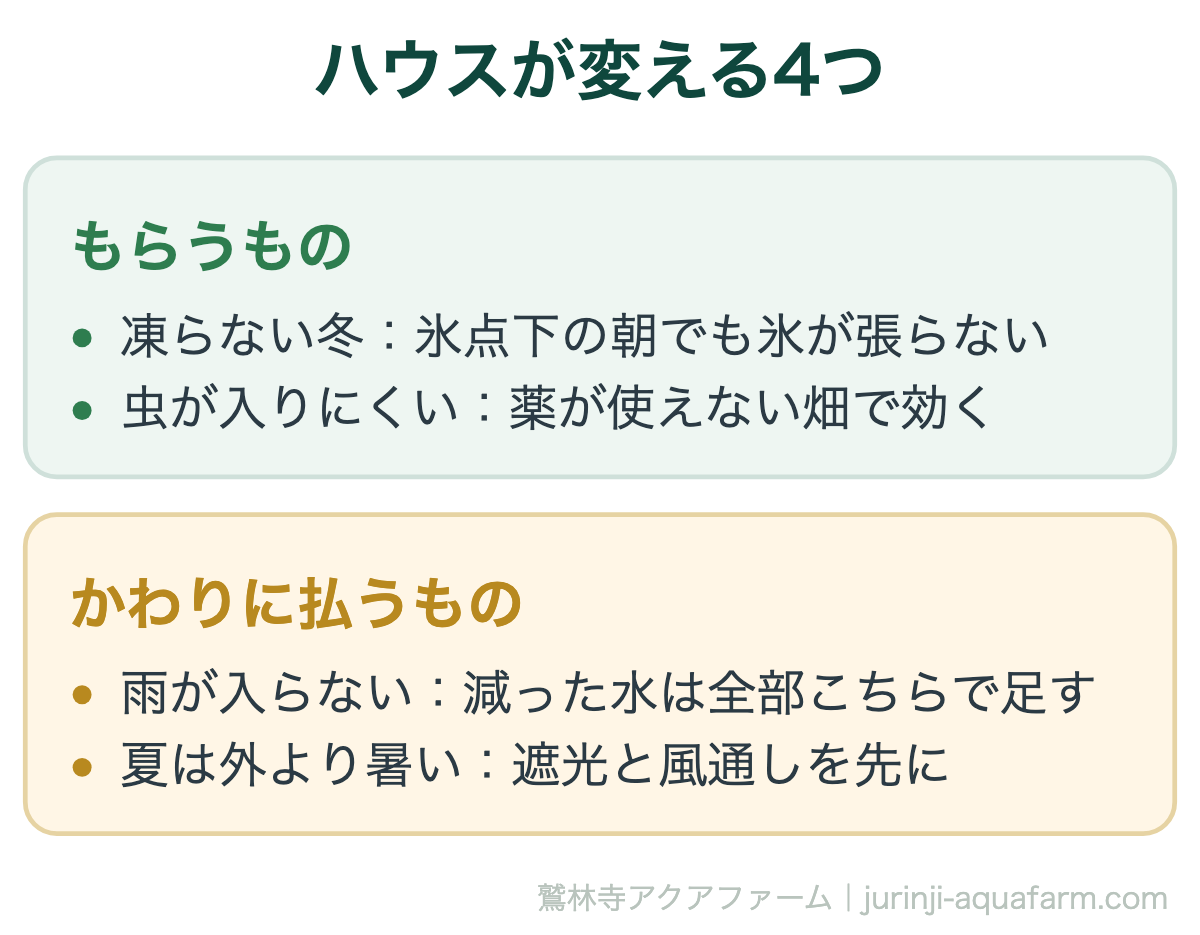 アクアポニックスをハウスに入れると変わる4つの比較図。もらうものは氷点下の朝でも氷が張らない凍らない冬と、薬が使えない畑で効く虫の入りにくさ。払うものは雨が入らないので減った水を全部足すことと、夏は外より暑いので遮光と風の通り道を先に作ること