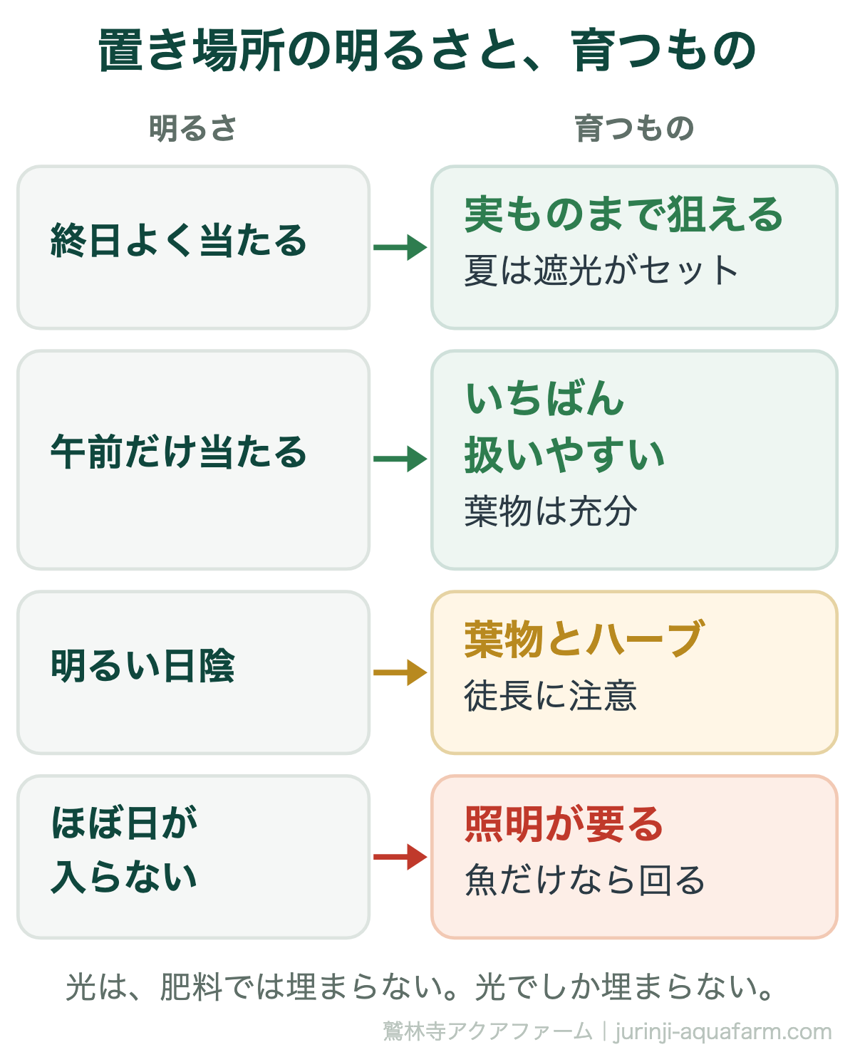 アクアポニックスの置き場所の明るさと育つものの図。終日よく当たるなら実ものまで狙えるが夏は遮光がセット。午前だけ当たるならいちばん扱いやすく葉物は充分。明るい日陰なら葉物とハーブで徒長に注意。ほぼ日が入らないなら照明が要る