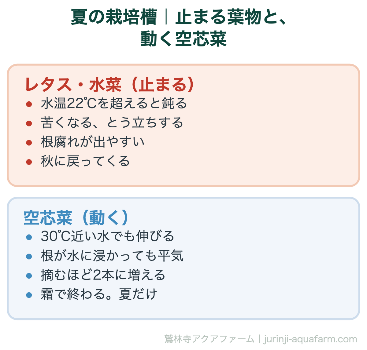 アクアポニックスの夏の栽培槽で止まる葉物と動く空芯菜の比較図。レタスや水菜は水温22℃を超えると鈍り、苦くなりとう立ちし、根腐れが出やすく、秋に戻ってくる。空芯菜は30℃近い水でも伸び、根が水に浸かっても平気で、摘むほど2本に増え、霜で終わる夏だけの作物