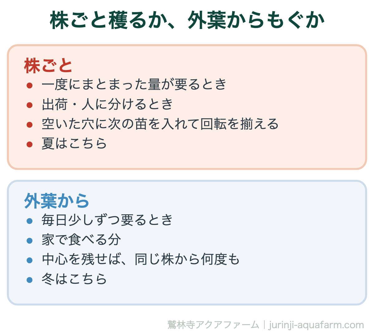 リーフレタスを株ごと穫るか外葉からもぐかの比較図。株ごとは一度にまとまった量が要るときや出荷のときで、空いた穴に次の苗を入れて回転を揃えられ、夏に向く。外葉からは毎日少しずつ要る家の分で、中心を残せば同じ株から何度も穫れ、冬に向く