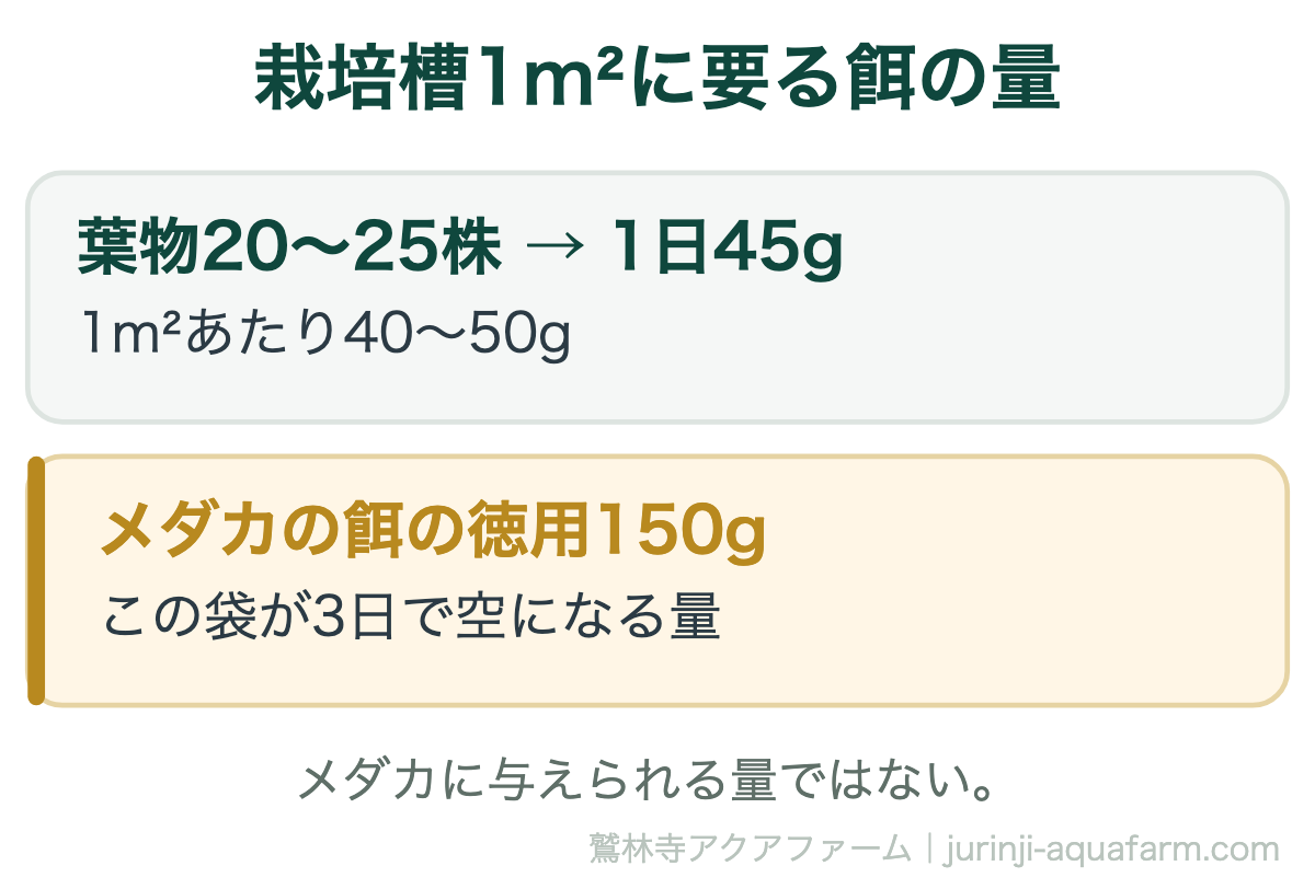 栽培槽1m²に要る餌の量の図。葉物20〜25株には1日45g、1m²あたり40〜50gの餌が要る。メダカの餌の徳用150gの袋が3日で空になる量でメダカに与えられる量ではない
