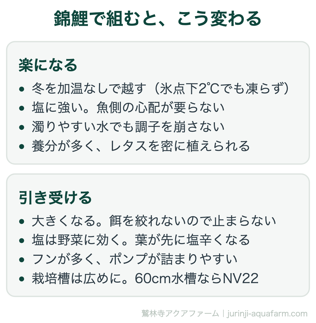 アクアポニックスに錦鯉を使うと変わることの比較図。楽になるのは冬を加温なしで越す、塩に強い、濁りやすい水でも崩れない、養分が多くレタスを密に植えられる。引き受けるのは大きくなる、塩は野菜に効く、フンが多くポンプが詰まりやすい、栽培槽は広めに