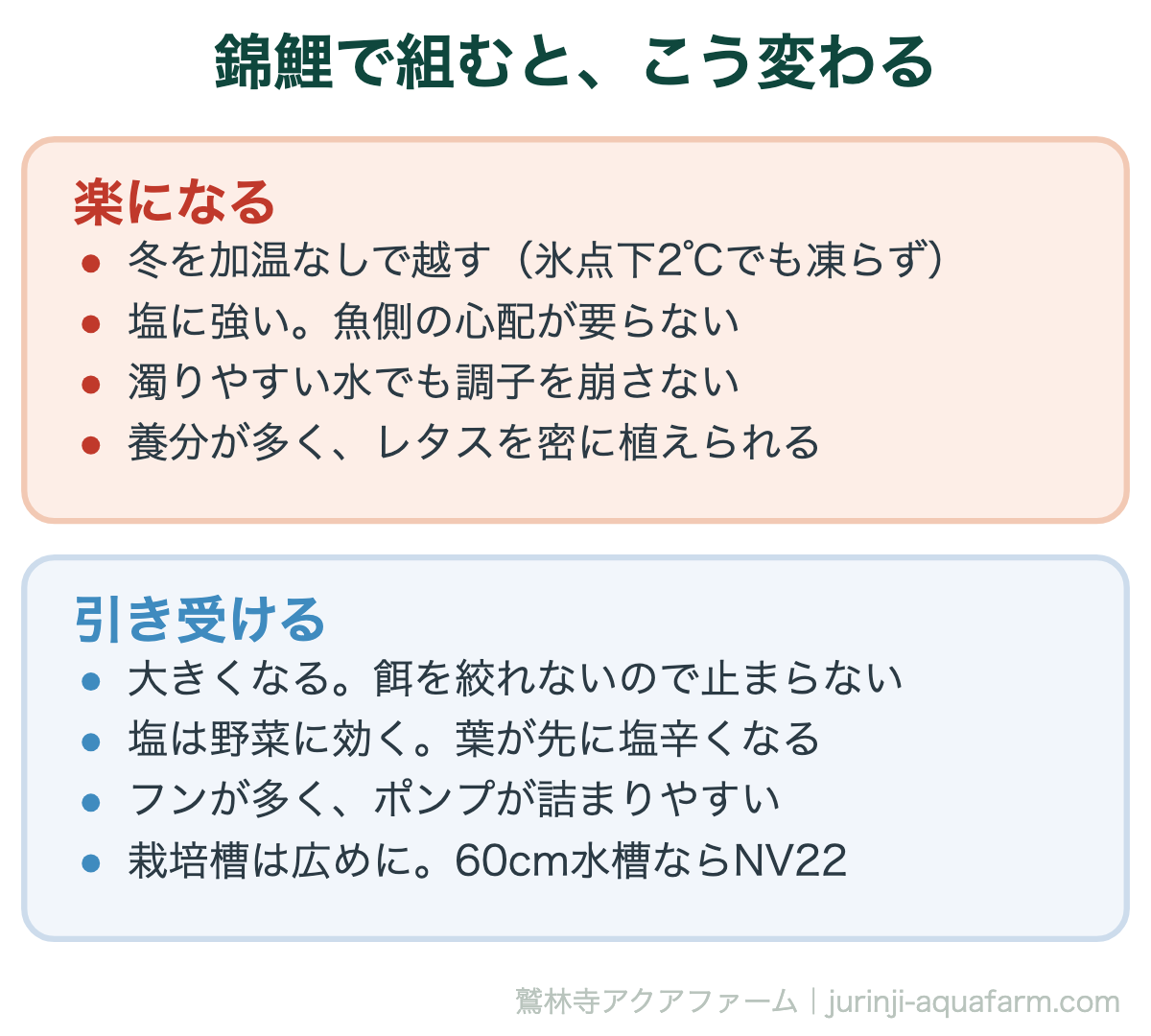 アクアポニックスに錦鯉を使うと変わることの比較図。楽になるのは冬を加温なしで越す、塩に強い、濁りやすい水でも崩れない、養分が多くレタスを密に植えられる。引き受けるのは大きくなる、塩は野菜に効く、フンが多くポンプが詰まりやすい、栽培槽は広めに